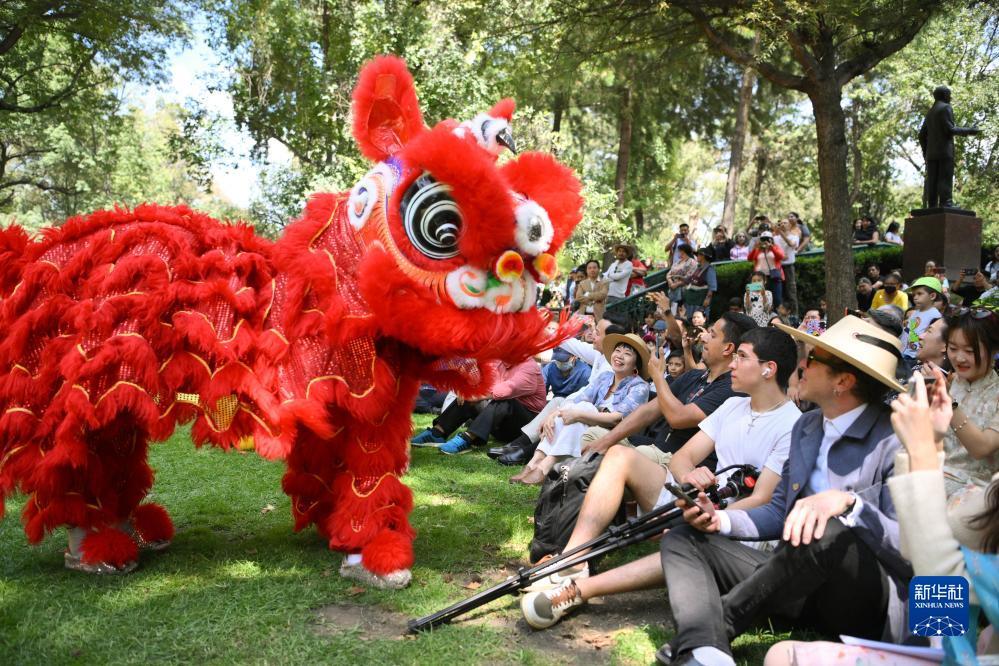 皇冠管理端登下载